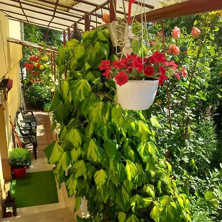 Cleopatra Apartment